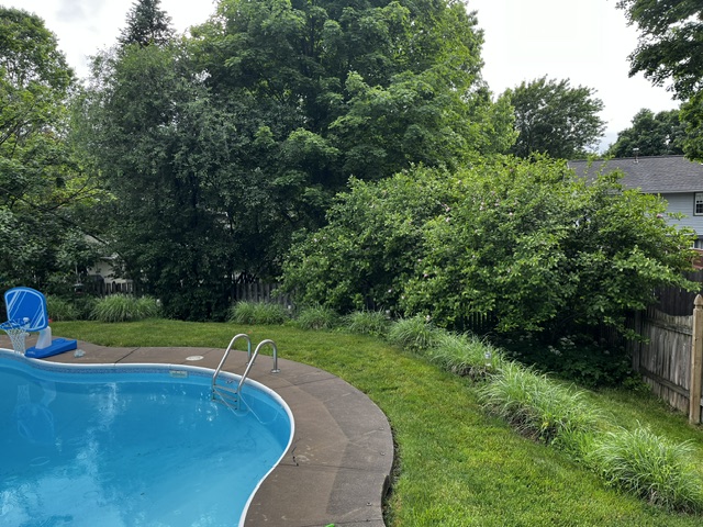 Landscaping project