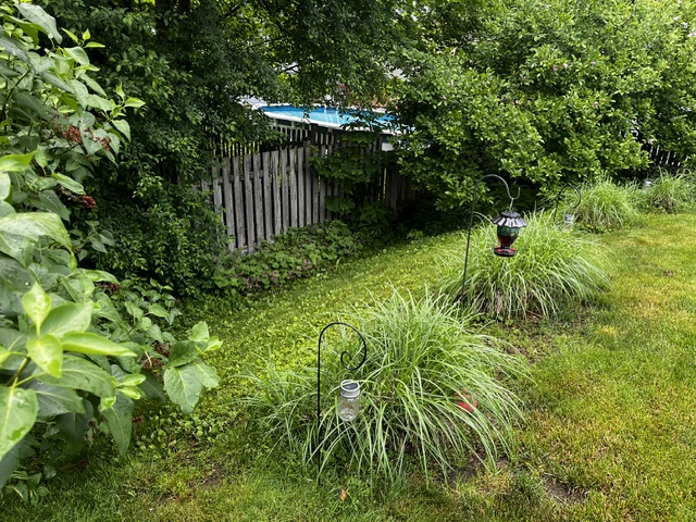 Landscaping project