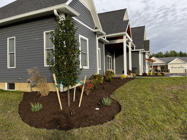 Landscaping project