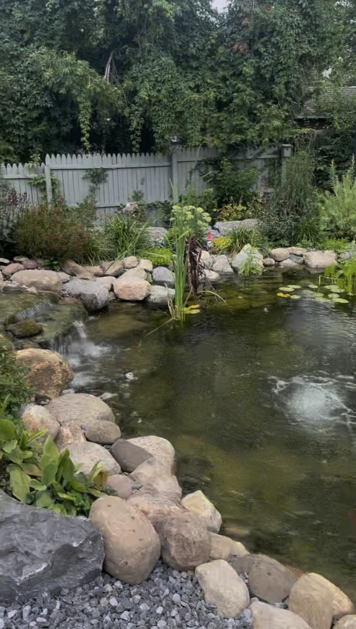 Landscape pond
